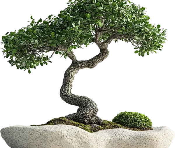 Banyan